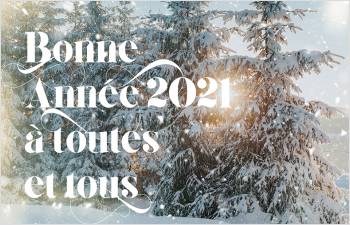 Bonne Année 2021