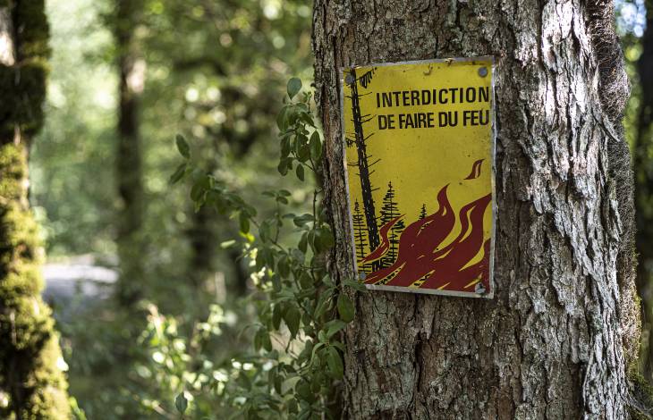 La sécheresse entraîne une interdiction des feux en forêt