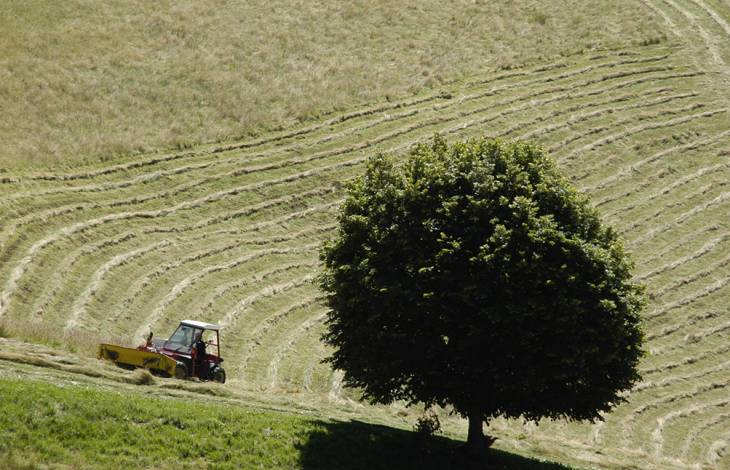 La biodiversité en actes