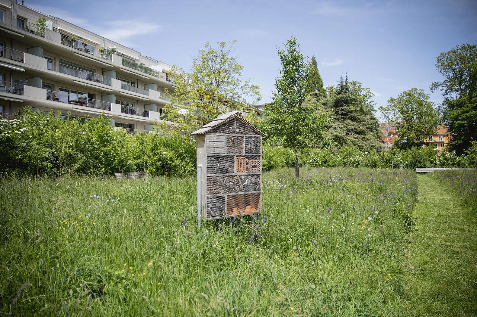 Lier objectifs environnementaux et économiques